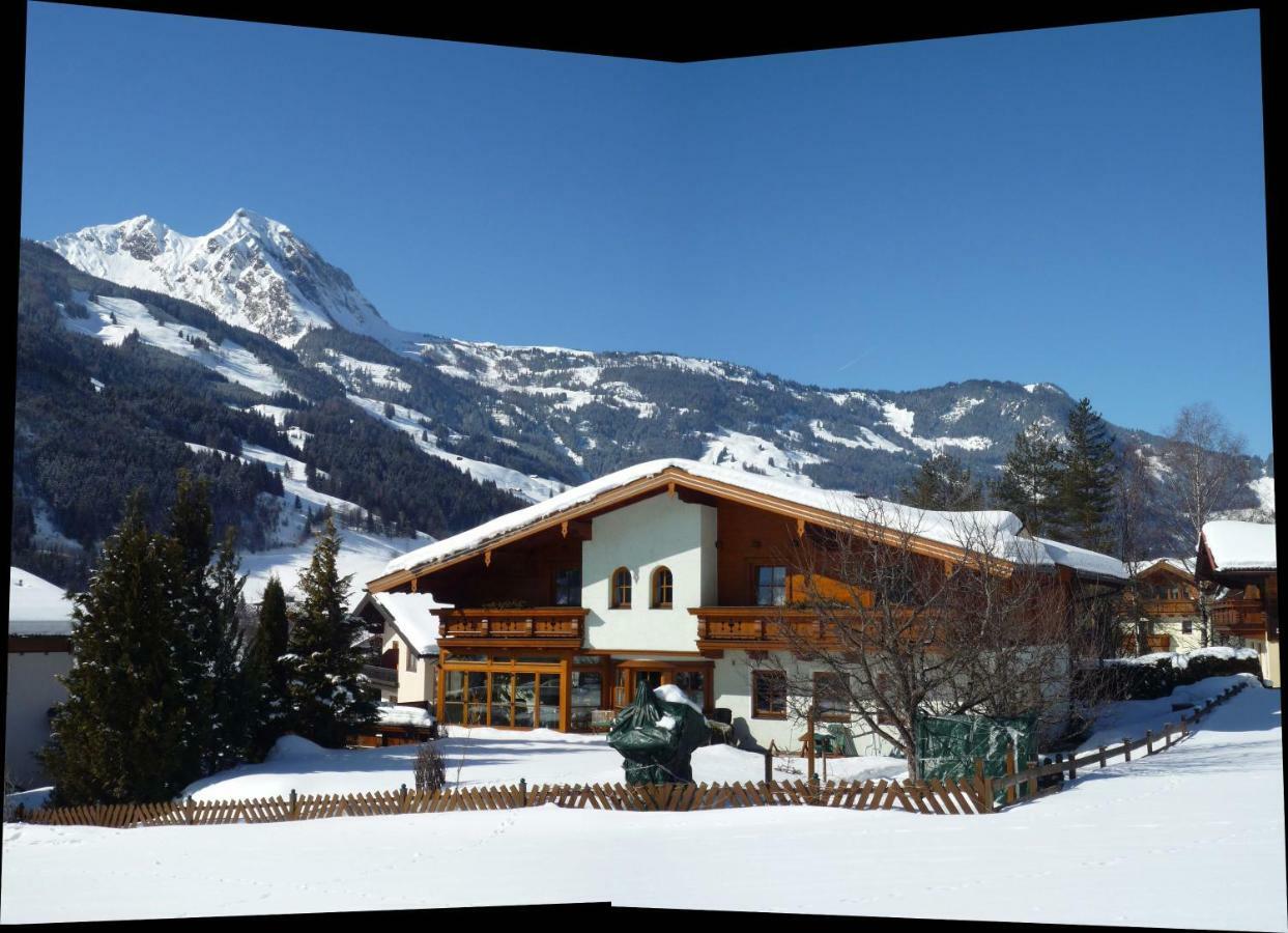 Gaestehaus Alpina Dorfgastein Ngoại thất bức ảnh